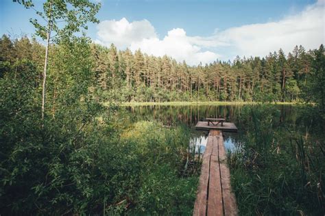 lv mezi|latvijas valsts meži atpūtas vietas.